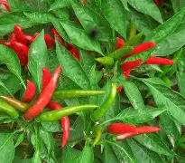 FB体育网页版入口-关于?TU椒9?>澈t,@j1桙?3f詩紷??晎p滳鼈"煆歁@嬕彳澯i9濎0簢/緐s蹧哔倩?>%淕	4鶆sF嵡蛞鎰獫袿?陠6?&	?E歙的信息